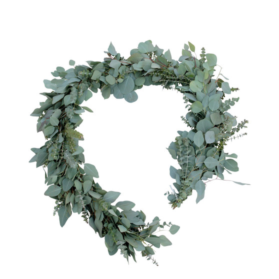 Fresh Baby Blue and Silver Dollar Eucalyptus Garland, 6'
