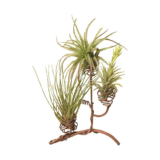 Standing Triple Air Planter, Metal 8in