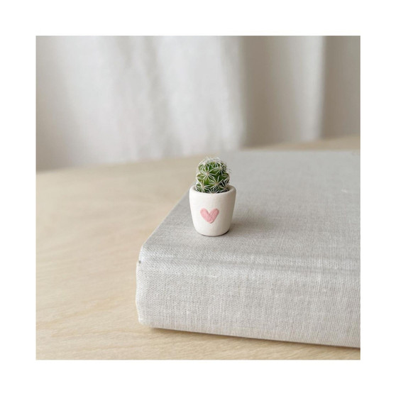 A Little Love Micro Mini Cactus Kit