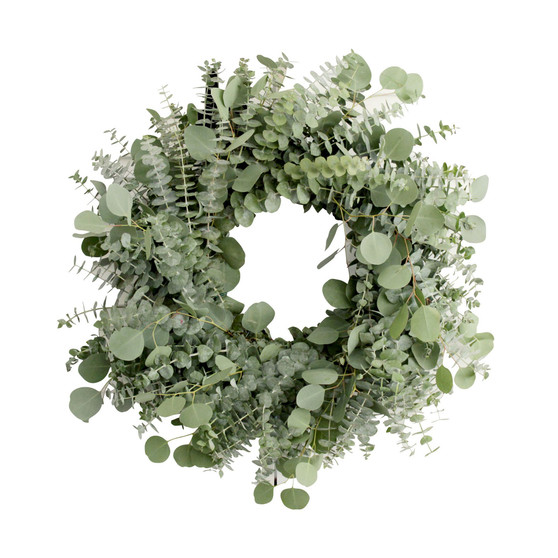 Fresh Baby Blue and Silver Dollar Eucalyptus Wreath, 20"