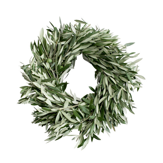 Fresh Olive Wreath, 20"
