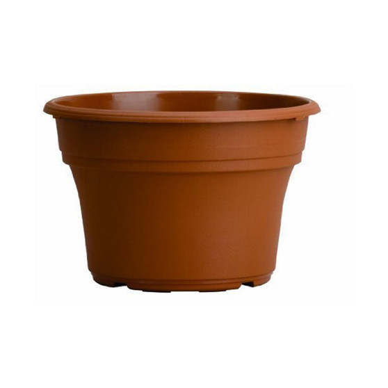 6 Inch Pot, Clay Color