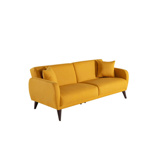 Sleeper Sofa in a Box with Storage