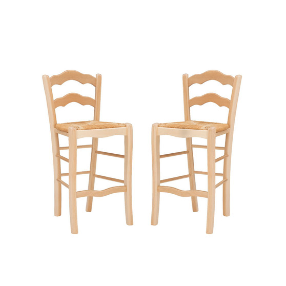 Antun 24" Counter Stool - Set of 2