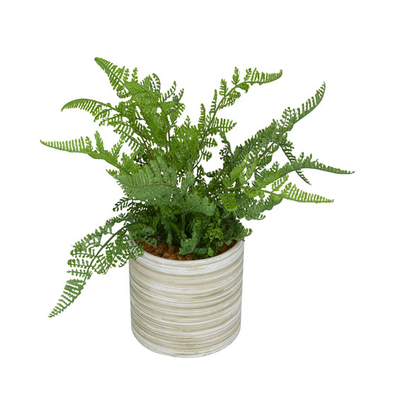 Traditional Fern Artificial Plant, 10.55"