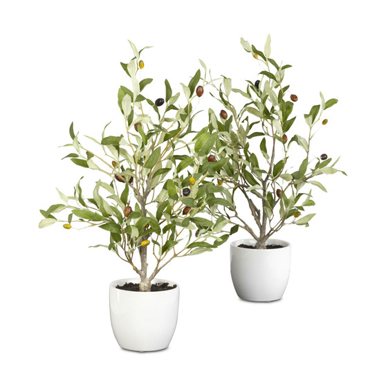 2-Pc. 18" Olive Tree Set with Vases