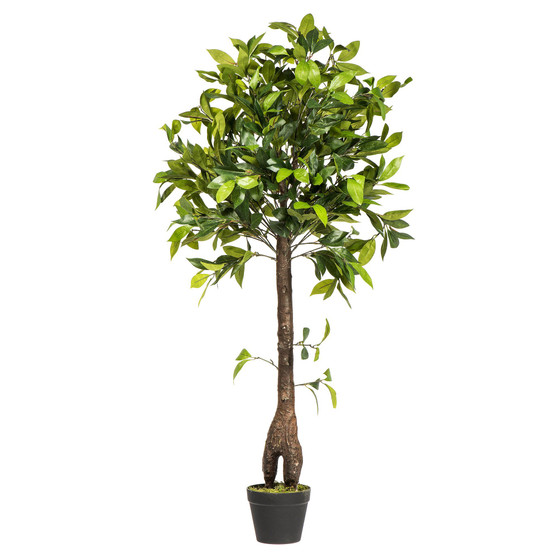50" Artificial Potted Camellia Tree