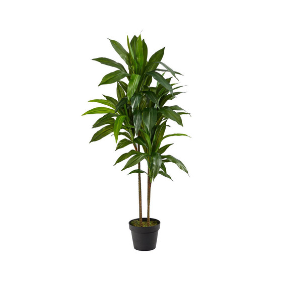 43" Dracaena Real Touch Plant