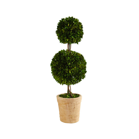 2.5ft. Preserved Boxwood Double Ball Topiary Tree in Decorative Planter
