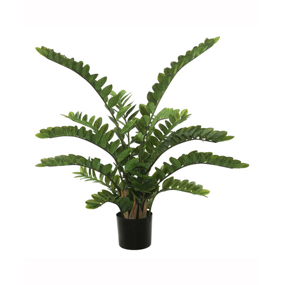 52" Potted Green Zamifolia Bush X 15 With 331 Leaves