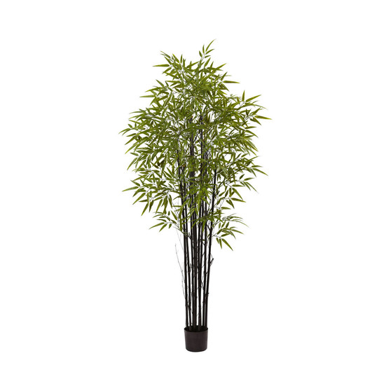 6' Indoor/Outdoor UV-Resistant Artificial Black Bamboo Tree