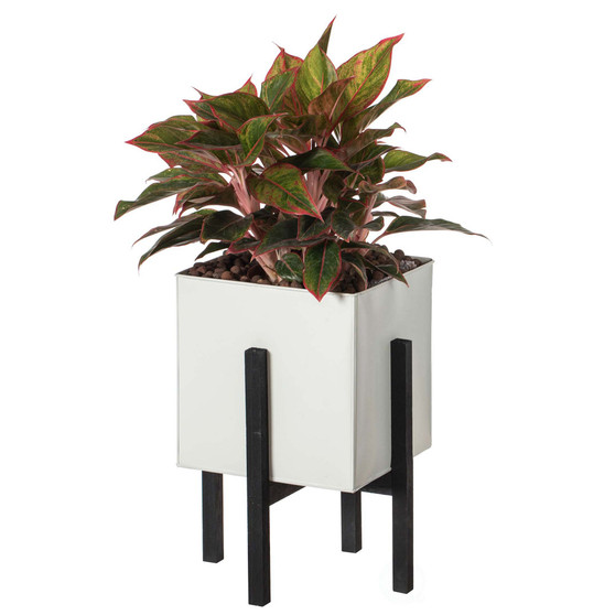 Indoor and Outdoor Planting Box, Large Planter
