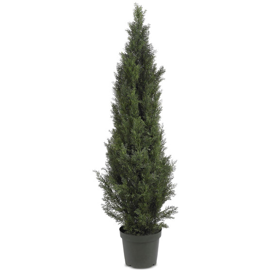 5' Mini Cedar Pine Indoor/Outdoor Tree