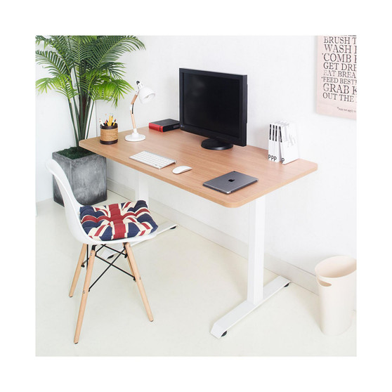 Gauss Contemporary Wood and Metal Computer Desk in Maple