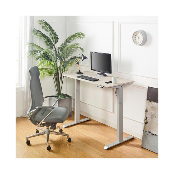 Florence Wood and Metal Electric Height Adjustable Motion Desk in Light Gray