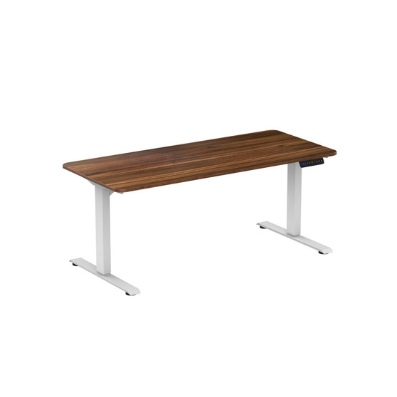Electric Standing Desk with Dual Motor 3-Stage Height Adjustable Sit Stand Desk Computer Workstation with USB Charge, White