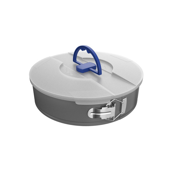 Nonstick 10" Springform Cheesecake Pan with Lid