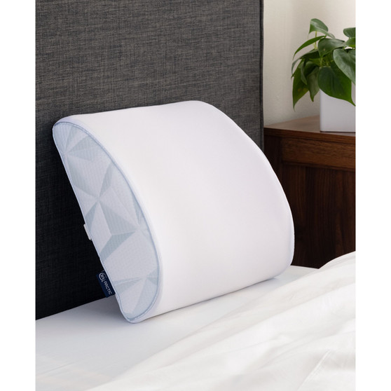 CLOSEOUT! Arctic 10x Cooling Memory Foam Neck Support Lumbar Accessory Pillow