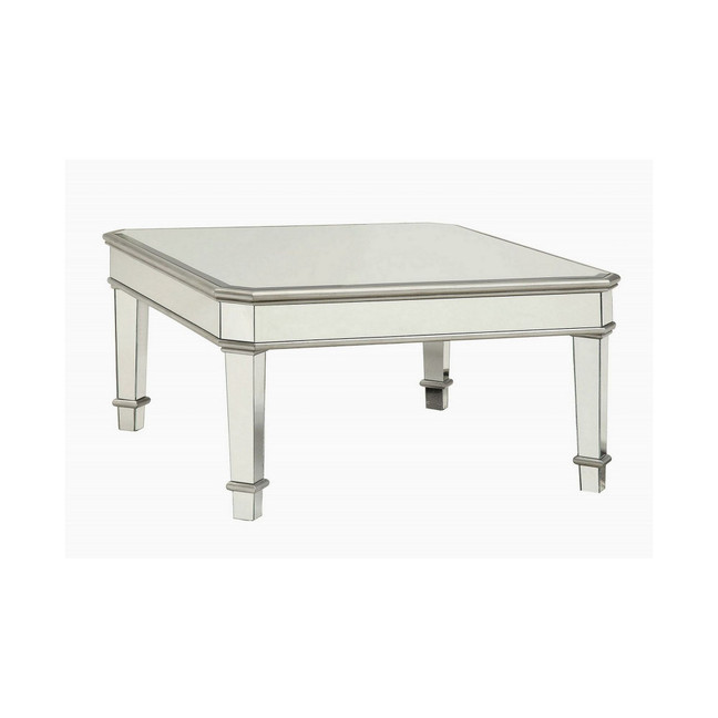 Renee Contemporary Style Coffee Table