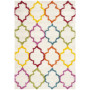 Shag Kids 4' x 6' Area Rug