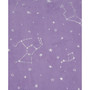 Unicorn Throw and Friend, Created for Macy's