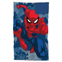 Spiderman Slumber Sack