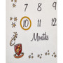 Harry Potter Milestone Baby Blanket