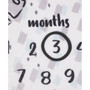 Lion King Super Soft Milestone Baby Blanket Set, 2 Piece