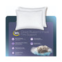 Down Illusion Firm Density Pillow 2-Pack, Jumbo