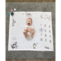 Looney Tunes Best Buds Milestone Blanket