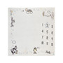 Looney Tunes Best Buds Milestone Blanket