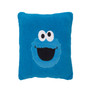 Sesame Street Cookie Monster Super Soft Decorative Pillow
