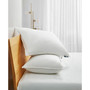 White Goose Feather & Down Fiber Back Sleeper 2-Pack Pillow, Standard/Queen