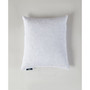 Feather Filled 2-Pack Pillow, 20" x 20"