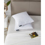 Feather Filled 2-Pack Pillow, 20" x 20"