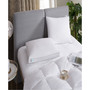 Feather & Down 2-Pack Pillow, Jumbo