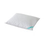 Down Blend Pillow, Queen