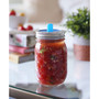 Regular Mouth Fermentation Pickle Pipes - Set of 4