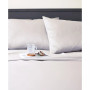 x Martex Anti-Allergen 100% Cotton Sheet Set, Full