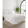 Solids in Style by The Home Collection 4 Piece Bed Sheet Set, Twin XL