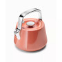Stovetop Whistling Tea Kettle