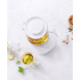 Enfinigy Glass Tea Kettle