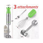 Immersion Hand Blender - 500W