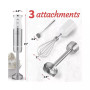Immersion Hand Blender - 500W