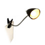 Limelight's Flossy Flexible Gooseneck Clip Light Desk Lamp