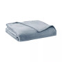 Microbial-Resistant Plush Blanket, Twin