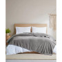 Microbial-Resistant Plush Blanket, Twin