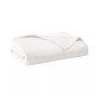 Microbial-Resistant Plush Blanket, Twin