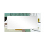 'Introductions' Rectangular On Free Floating Printed Tempered Art Glass Beveled Mirror, 54" x 28"