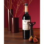 Wine Saver Concerto 5 Piece Gift Set